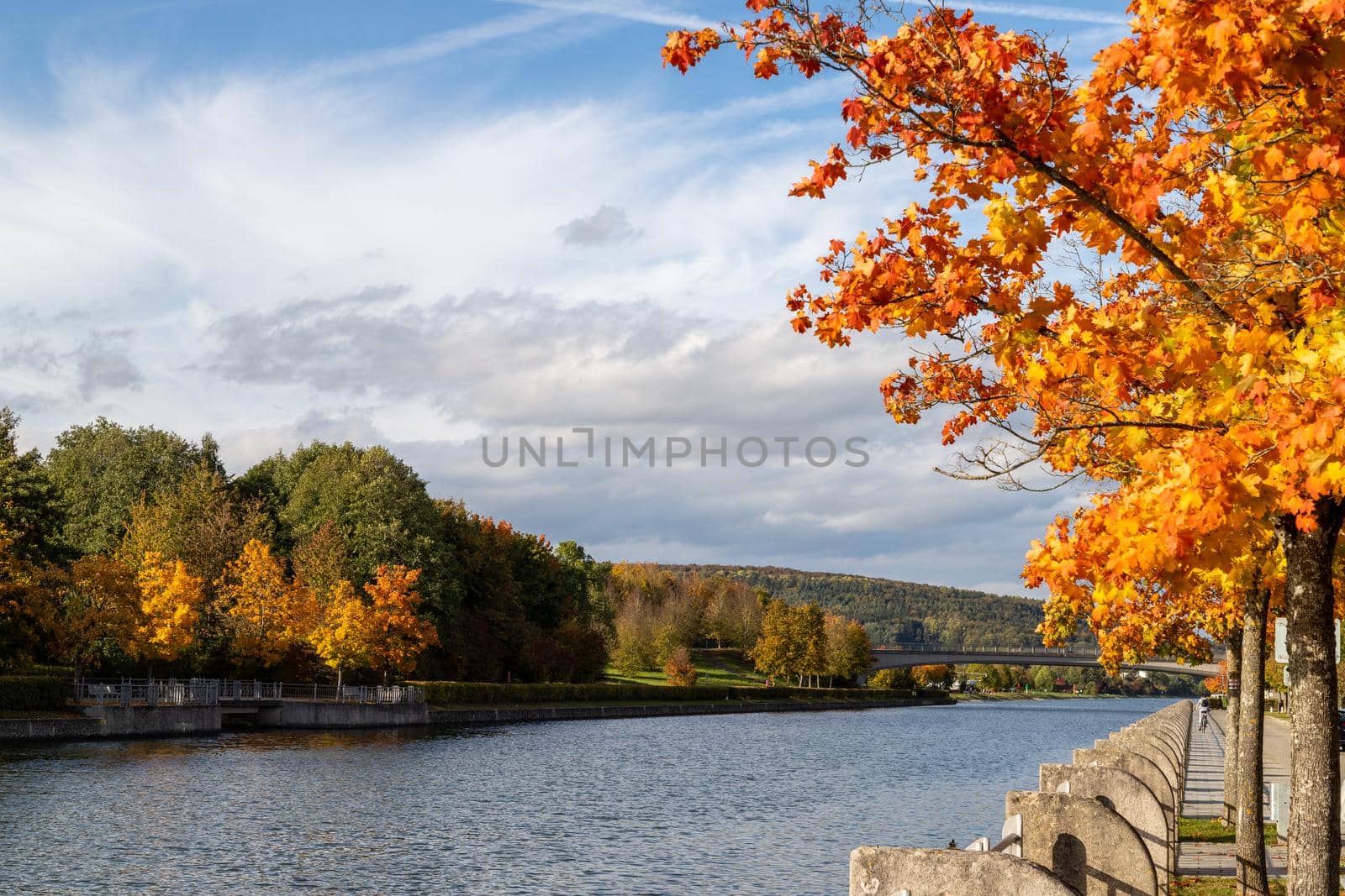 Autumn landscape with multicolored trees and the Altmuehl river in Berching, Bavaria on a sunny day