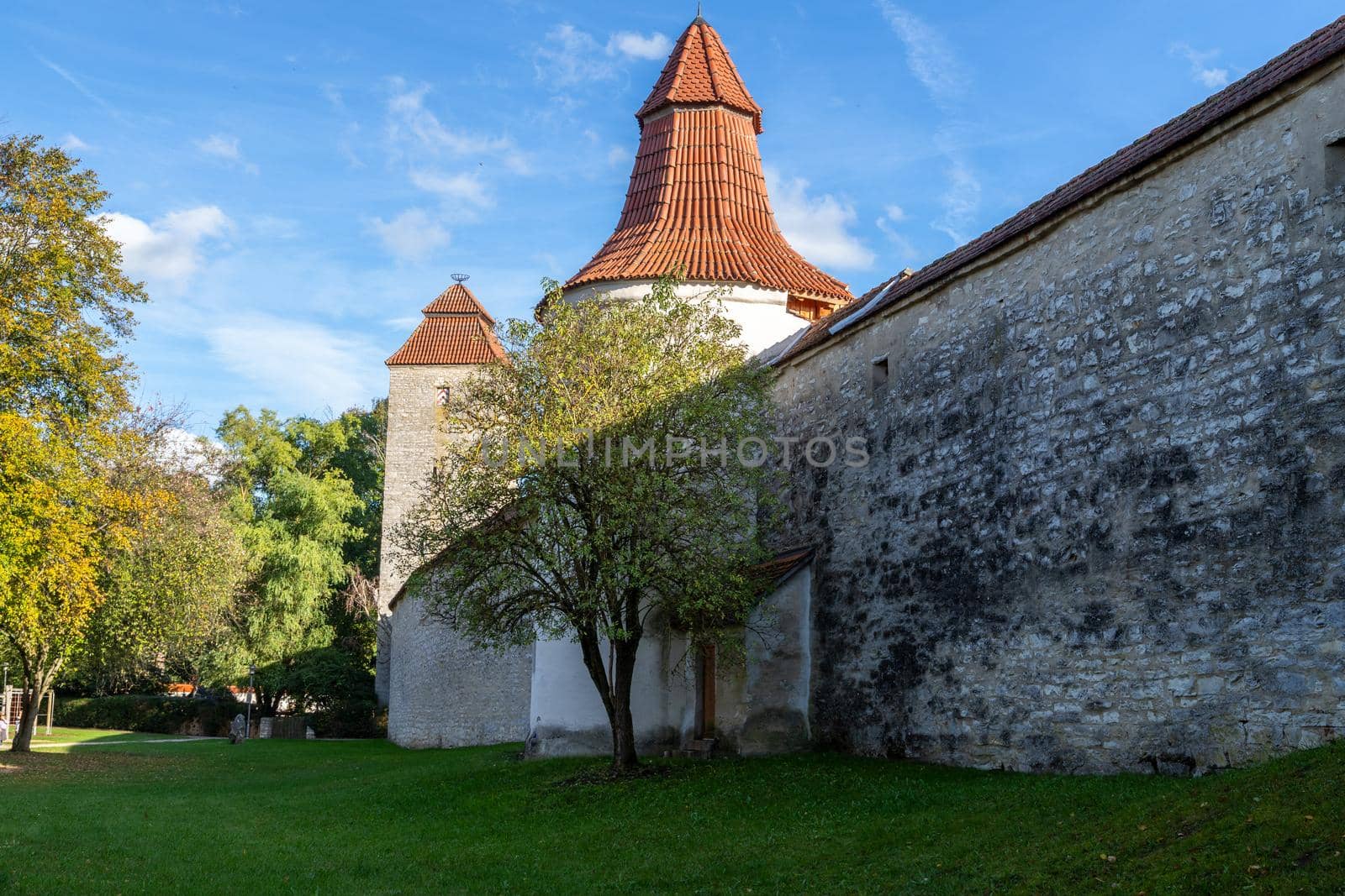 Autumn landscape with multicolored trees and city wall with tower in Berching, Bavaria  by reinerc