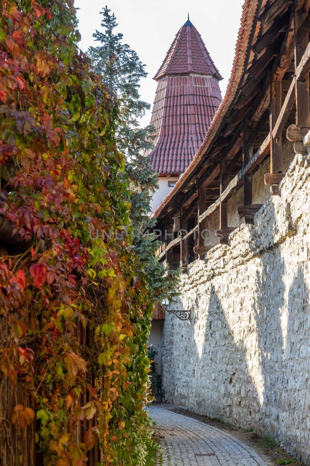 Autumn landscape with multicolored trees and city wall with tower in Berching, Bavaria  by reinerc