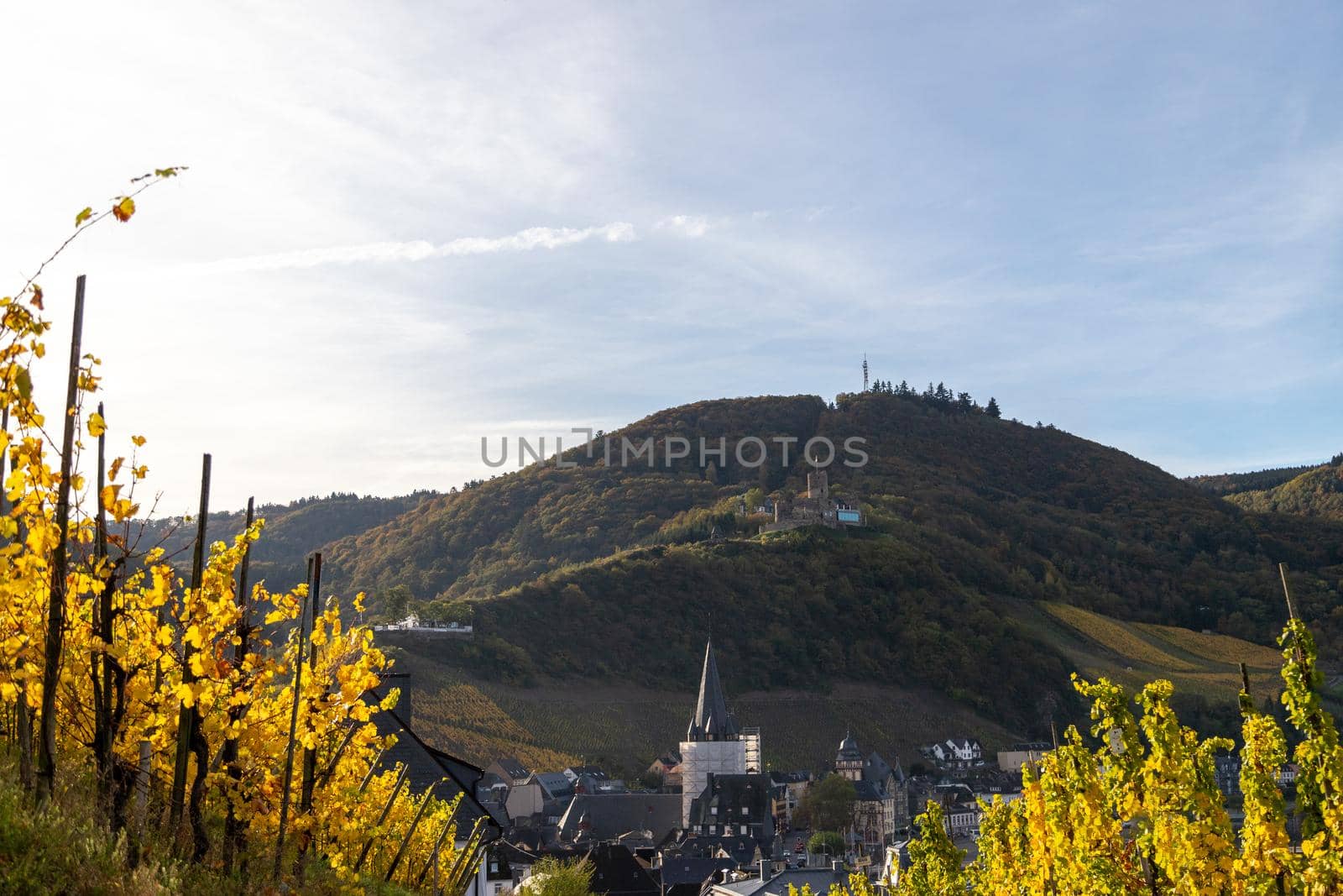 View at Bernkastel-Kues and Landshut castle on the river Moselle in autumn with multi colored vineyard in the foreground by reinerc