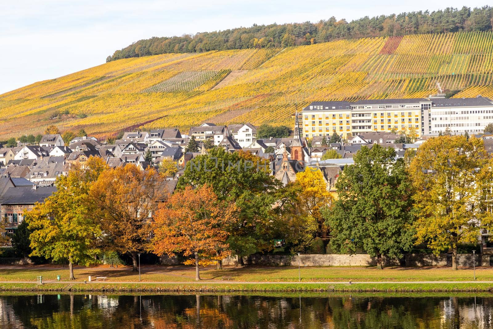 Scenic view at Bernkastel-Kues and the river Moselle in autumn with multi colored trees on a sunny day 