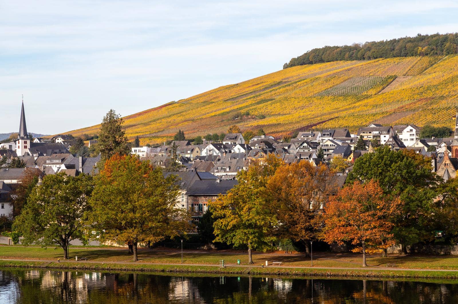 Scenic view at Bernkastel-Kues and the river Moselle in autumn with multi colored trees on a sunny day 