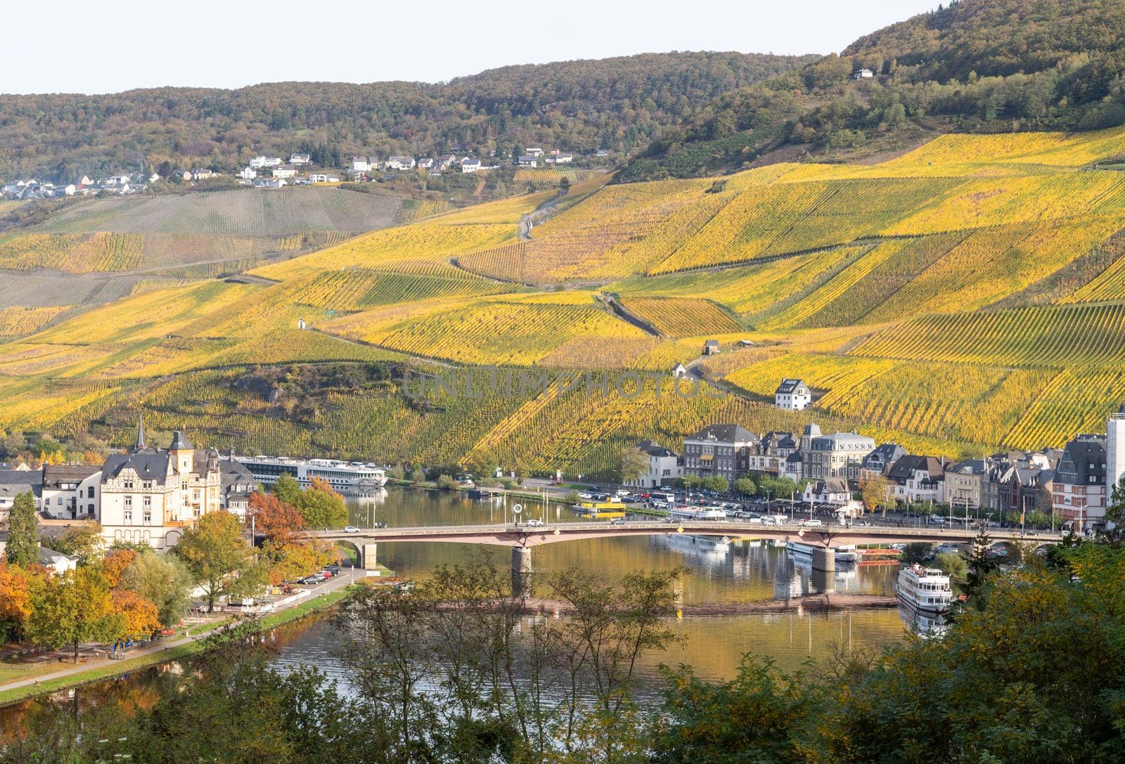 Autumn landscape with multi colored nature at Bernkastel-Kues on river Moselle  by reinerc