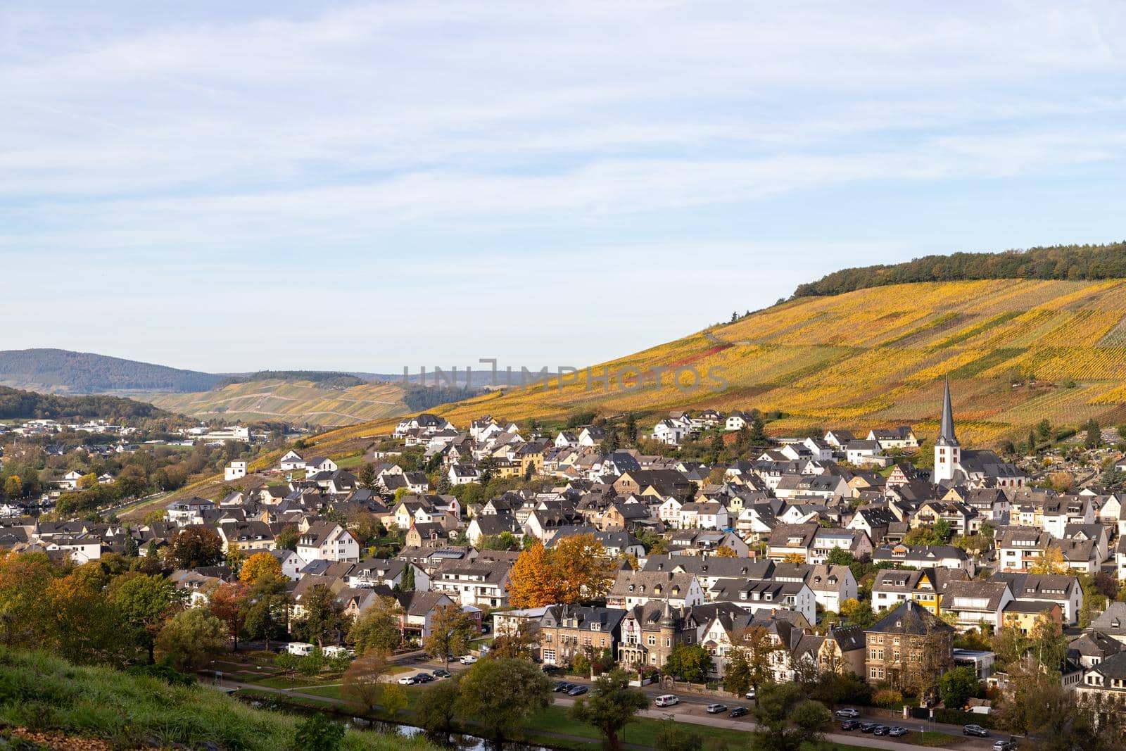 Scenic view at Bernkastel-Kues and the river Moselle valley in autumn with multi colored landscape on a sunny day 
