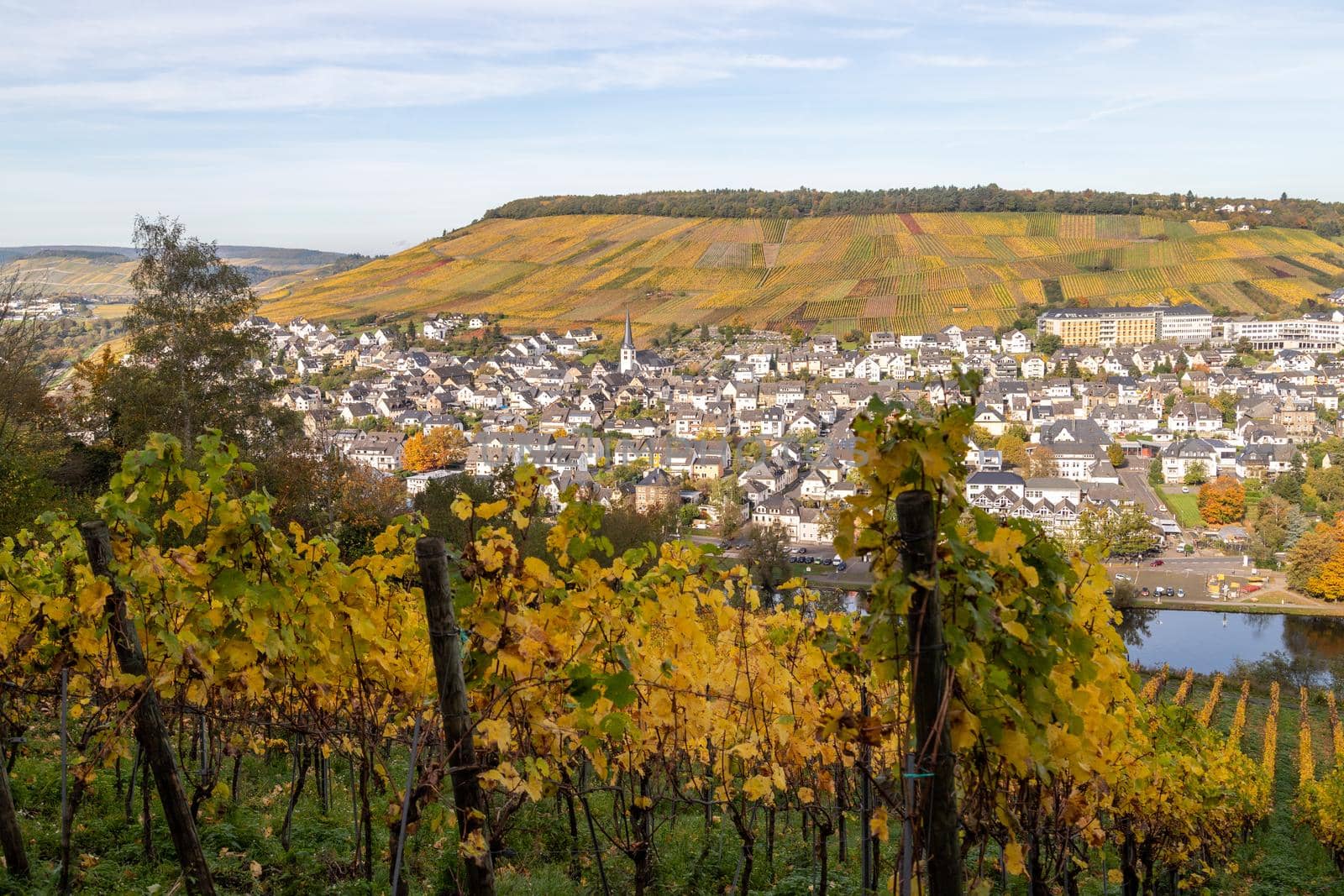 Scenic view at Bernkastel-Kues and the river Moselle valley in autumn with multi colored landscape on a sunny day 