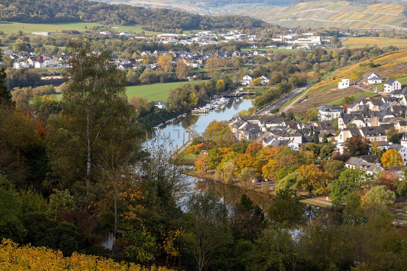 Scenic view at Bernkastel-Kues and the river Moselle valley in autumn with multi colored landscape on a sunny day 