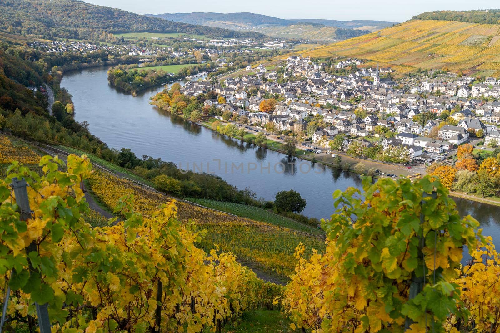 Bernkastel-Kues and the river Moselle in autumn with multi colored vineyard in the foreground by reinerc