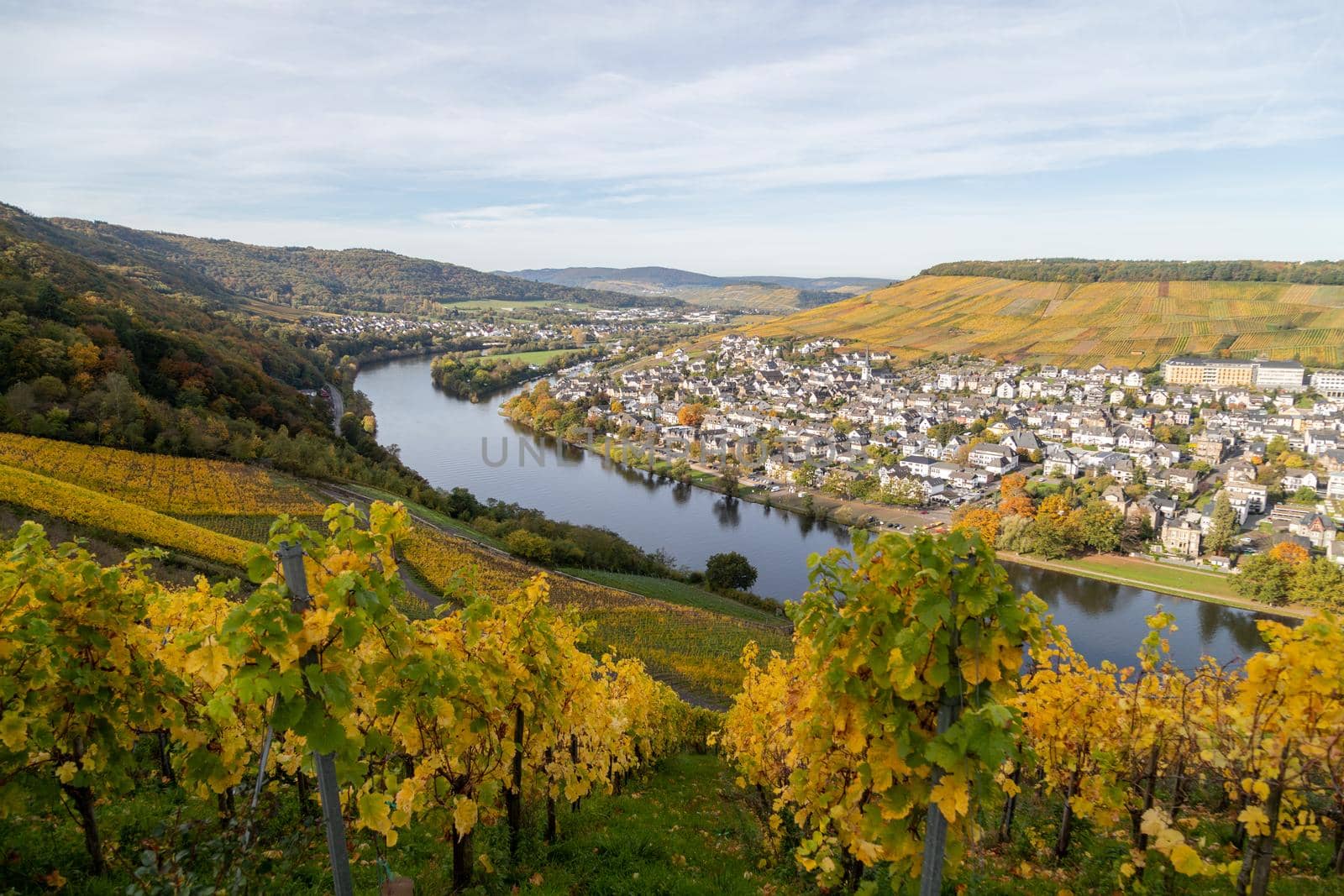 Scenic view at Bernkastel-Kues and the river Moselle in autumn with multi colored leaves in vineyard on a sunny day 