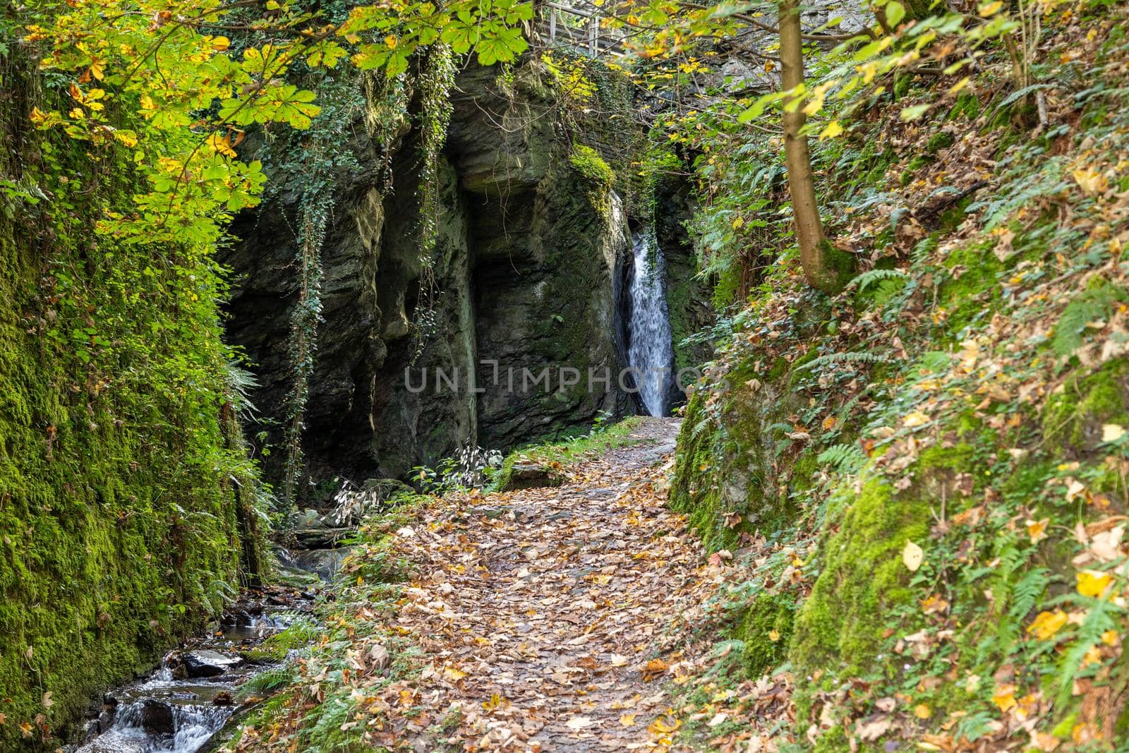 Waterfall and the creek Tiefenbach near Bernkastel-Kues on river Moselle in autumn by reinerc