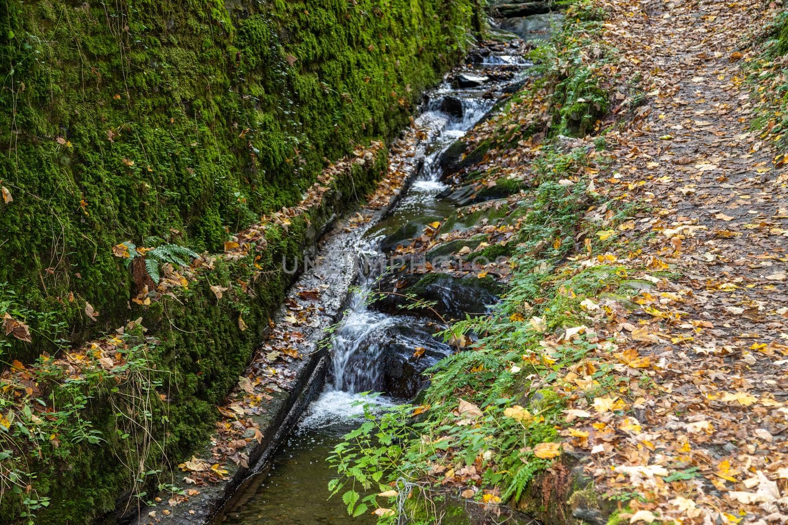 Landscape around the waterfall and the creek Tiefenbach near Bernkastel-Kues on river Moselle in autumn