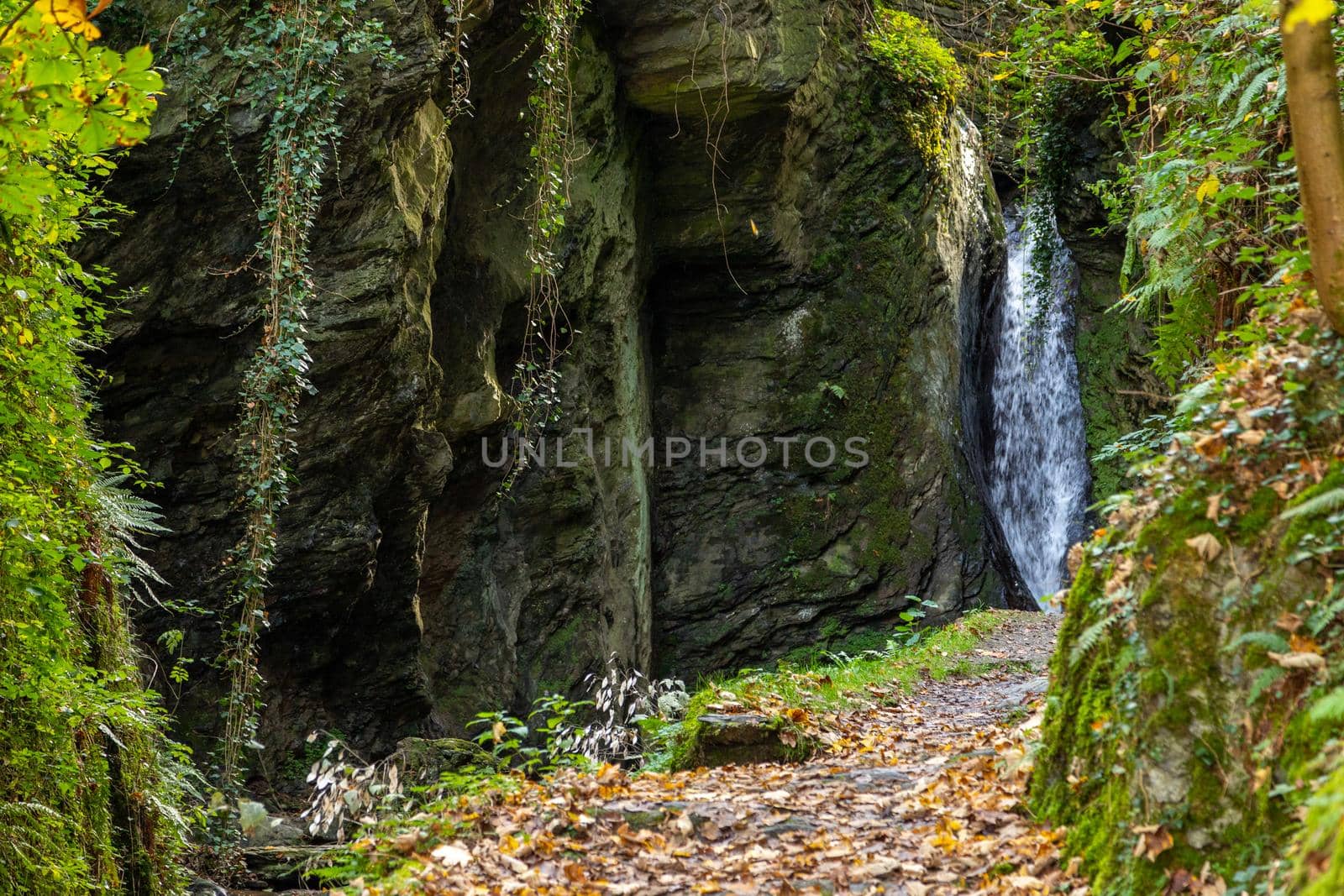 Waterfall and the creek Tiefenbach near Bernkastel-Kues on river Moselle in autumn by reinerc