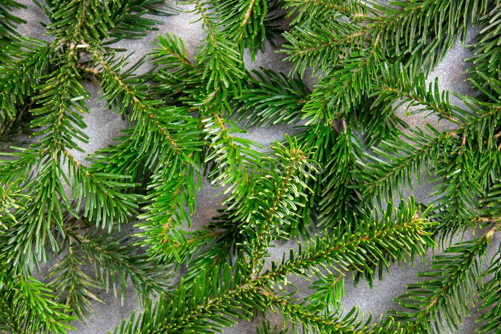 Christmas motif, texture, wallpaper, background with branches of a Nordmann fir on a grey marbled  background 