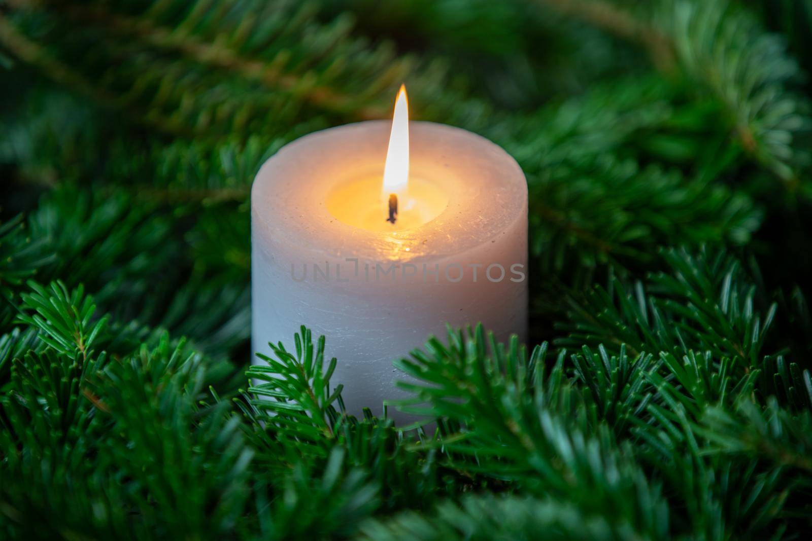 Christmas motif with white burning candle surrounded by Nordmann fir branches by reinerc