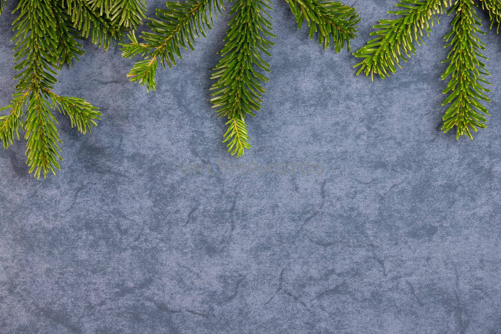 Christmas motif, texture, background with branches of a Nordmann fir at the top on a dark grey blue marbled  background with free space for text. by reinerc