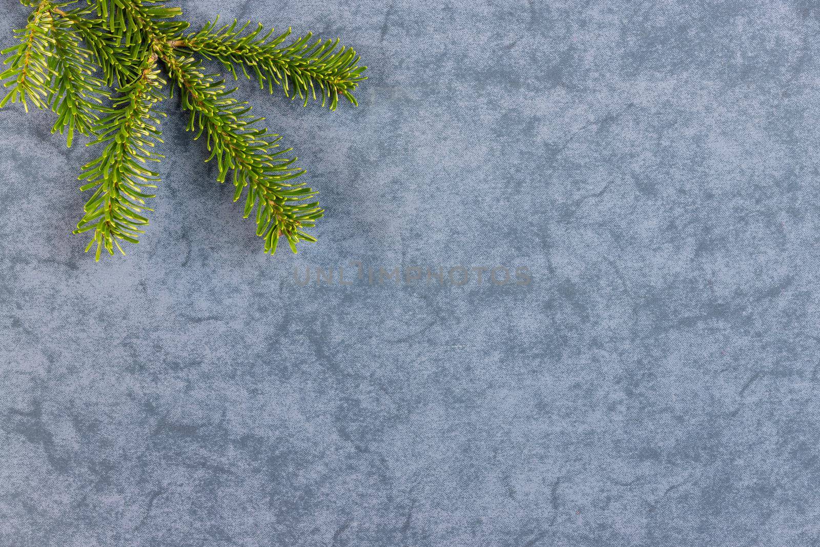 Christmas motif, texture, background with branches of a Nordmann fir at the top on a grey blue marbled  background with free space for text