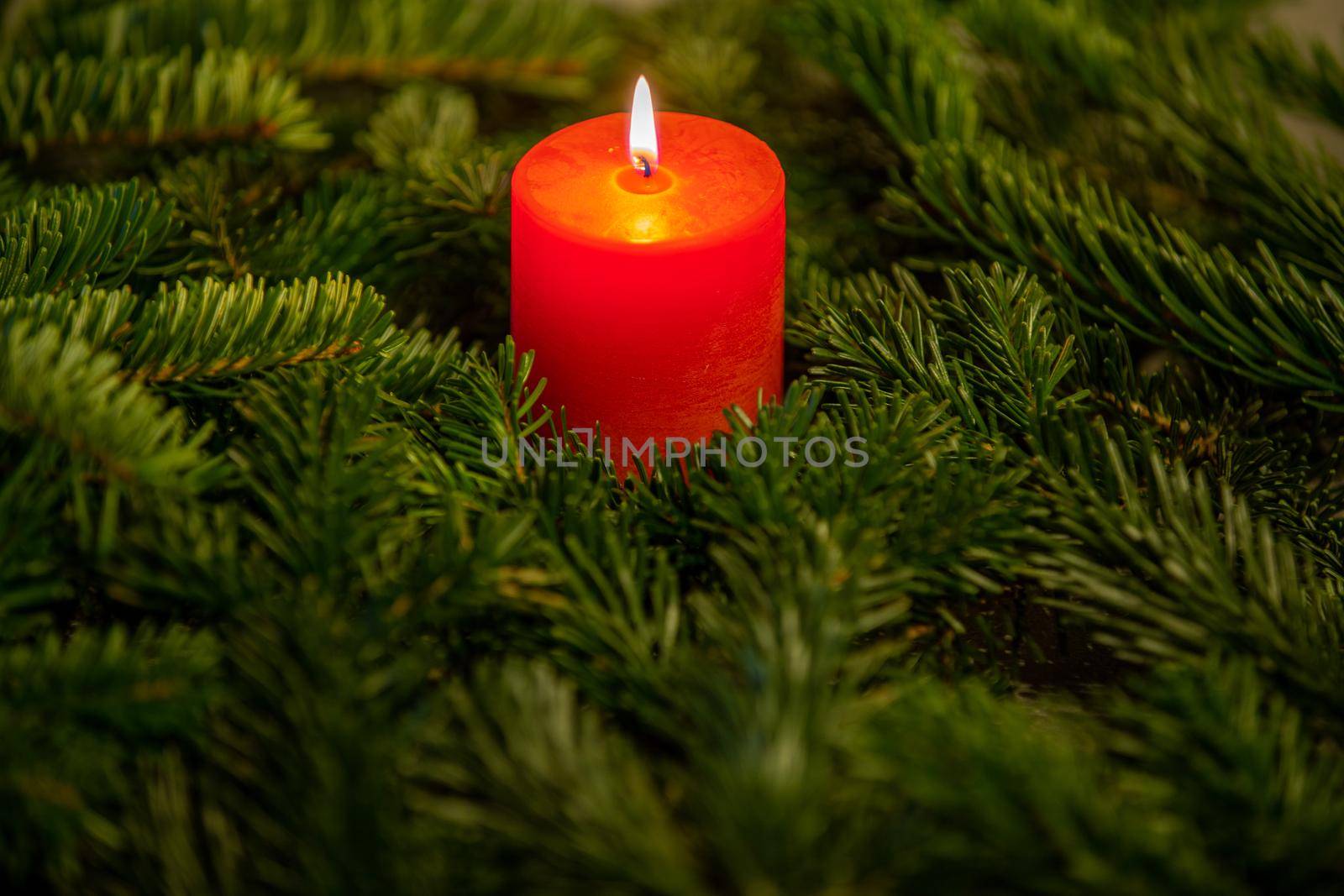Christmas motif, wallpaper with red burning candle surrounded by Nordmann fir branches