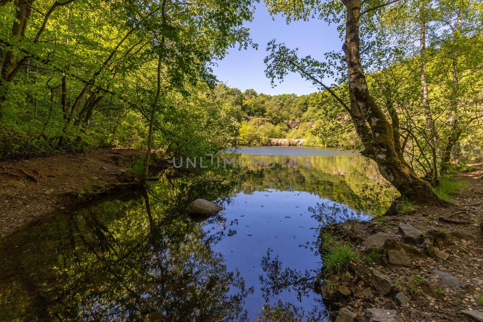 Scenic view at the silver lake on the mountain Lemberg, Rhineland-Palatinate, Germany