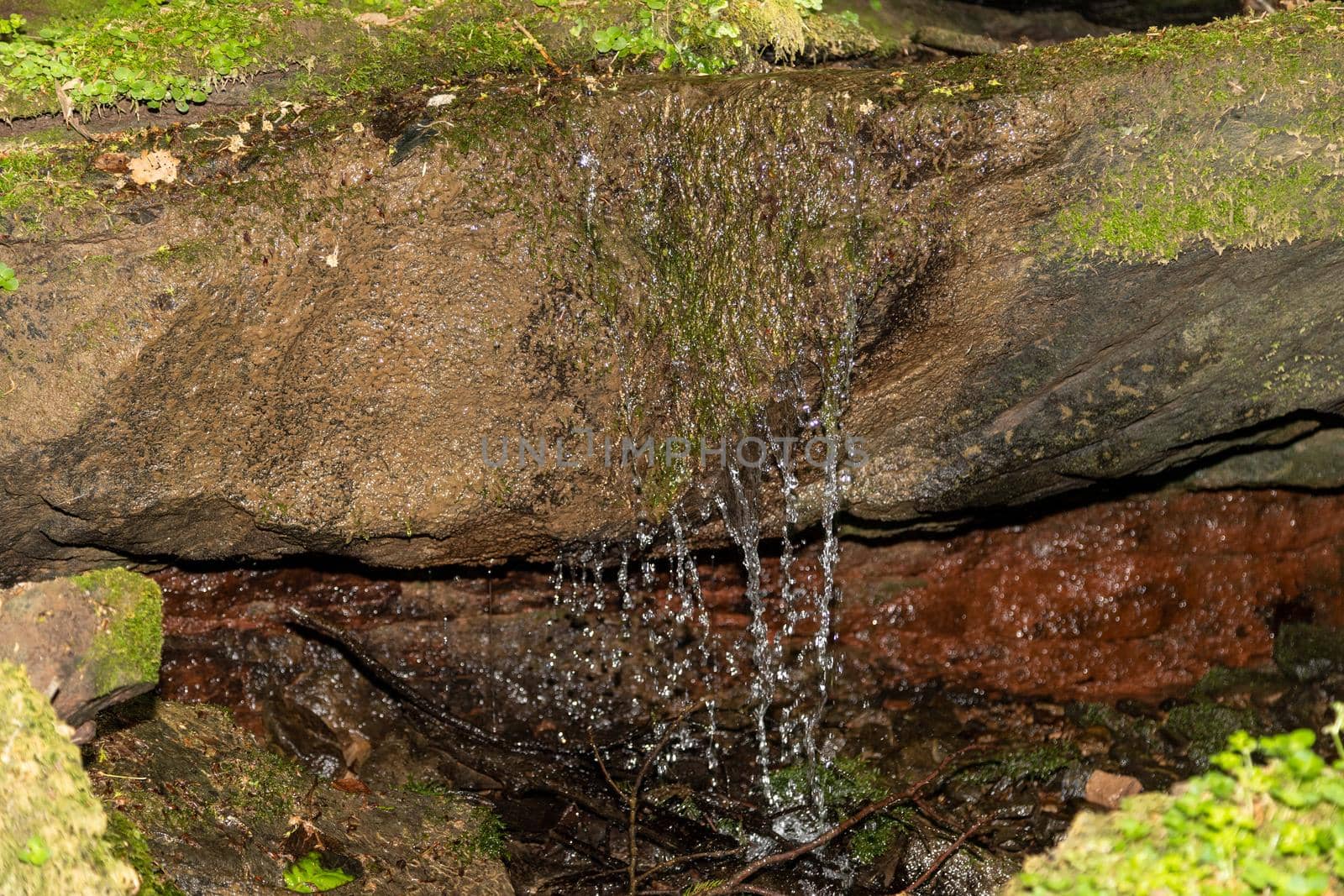 Water flowing over moss covered rocks  by reinerc