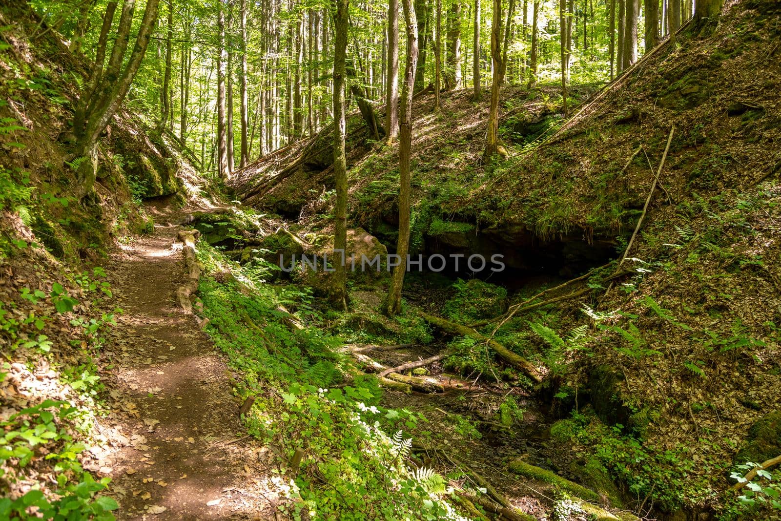 Hiking trail though the Palatinate forest nearby Pirmasens, Germany 