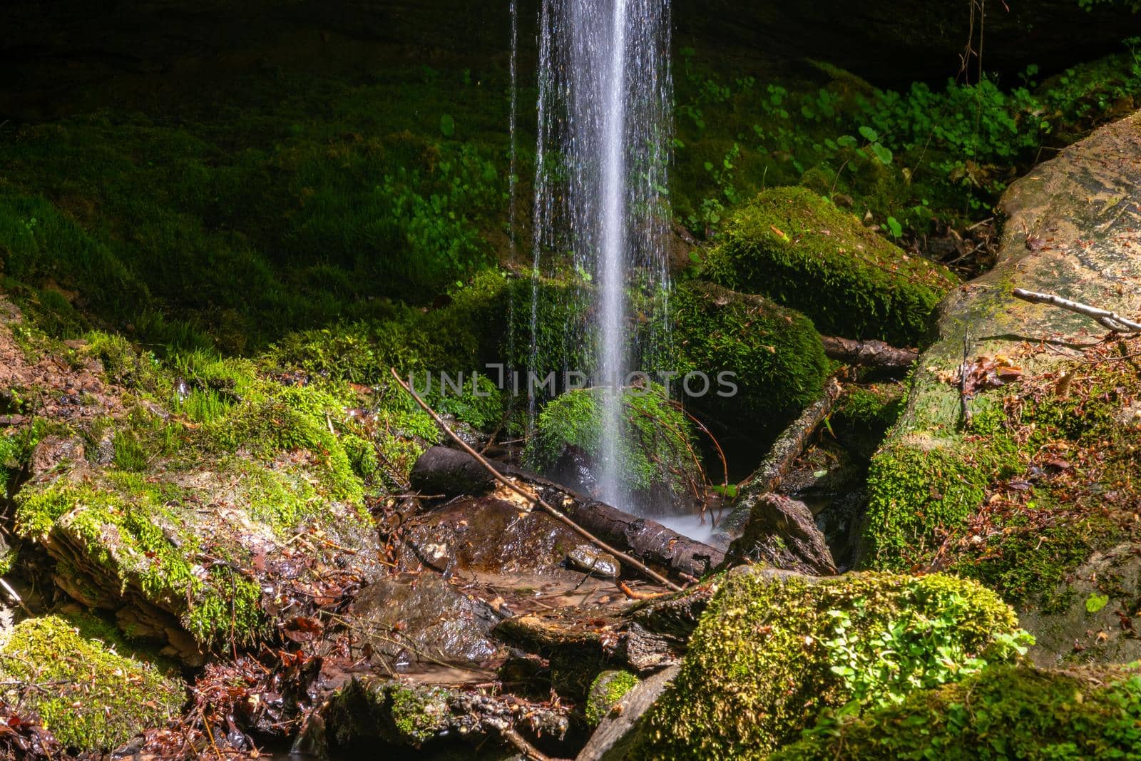 Water flowing over moss covered rocks in the canyon  Hexenklamm