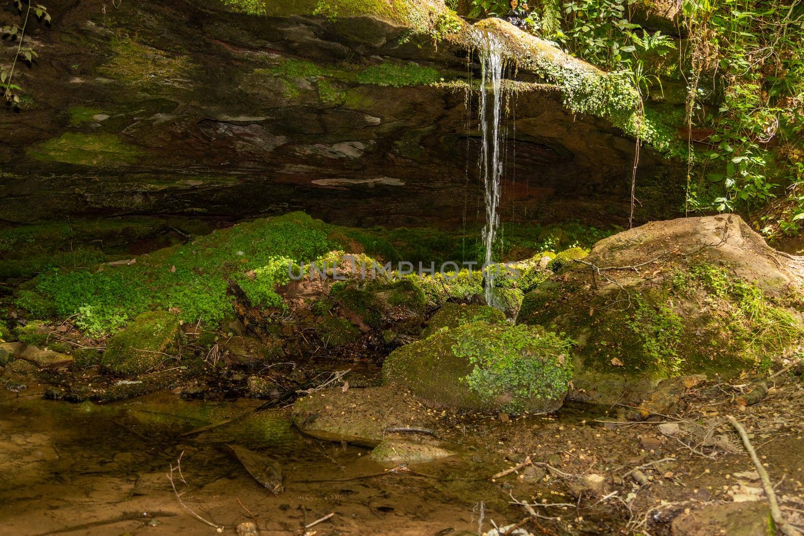 Water flowing over moss covered rocks  by reinerc