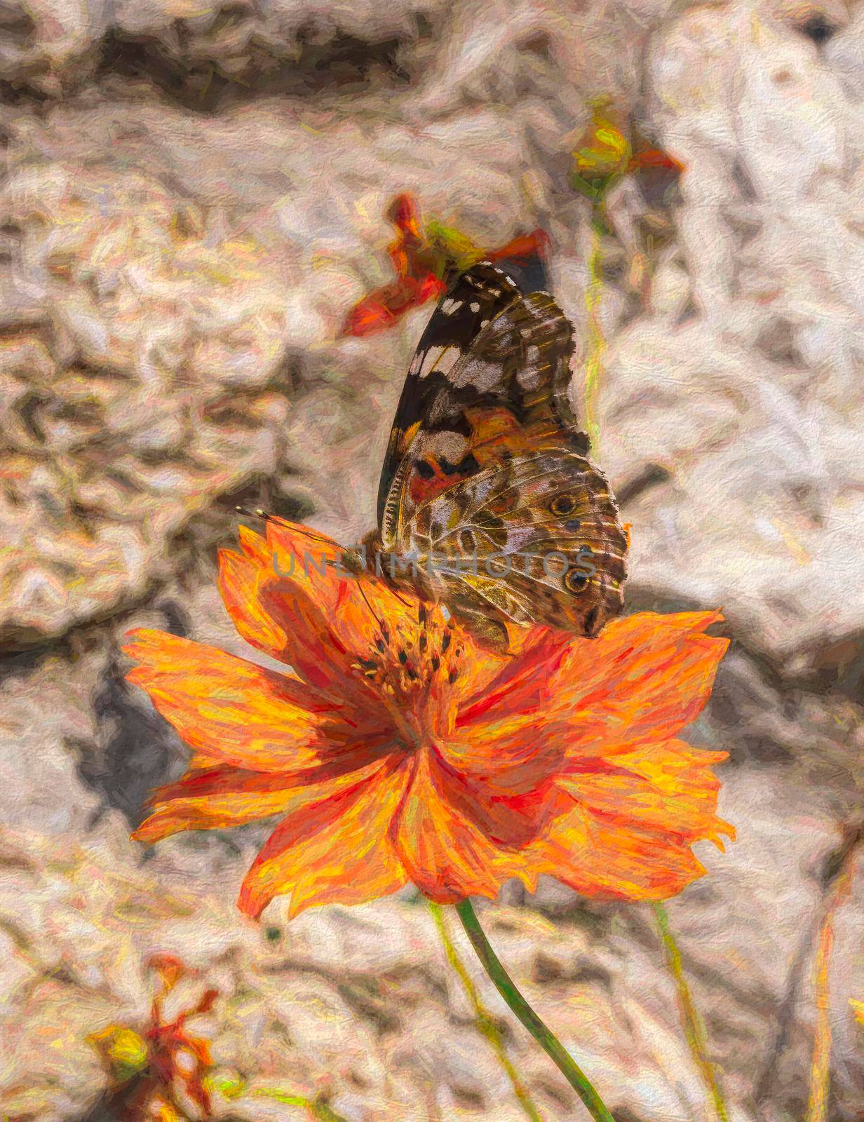 A Butterfly Nectaring On An Orange Flower - digital painting