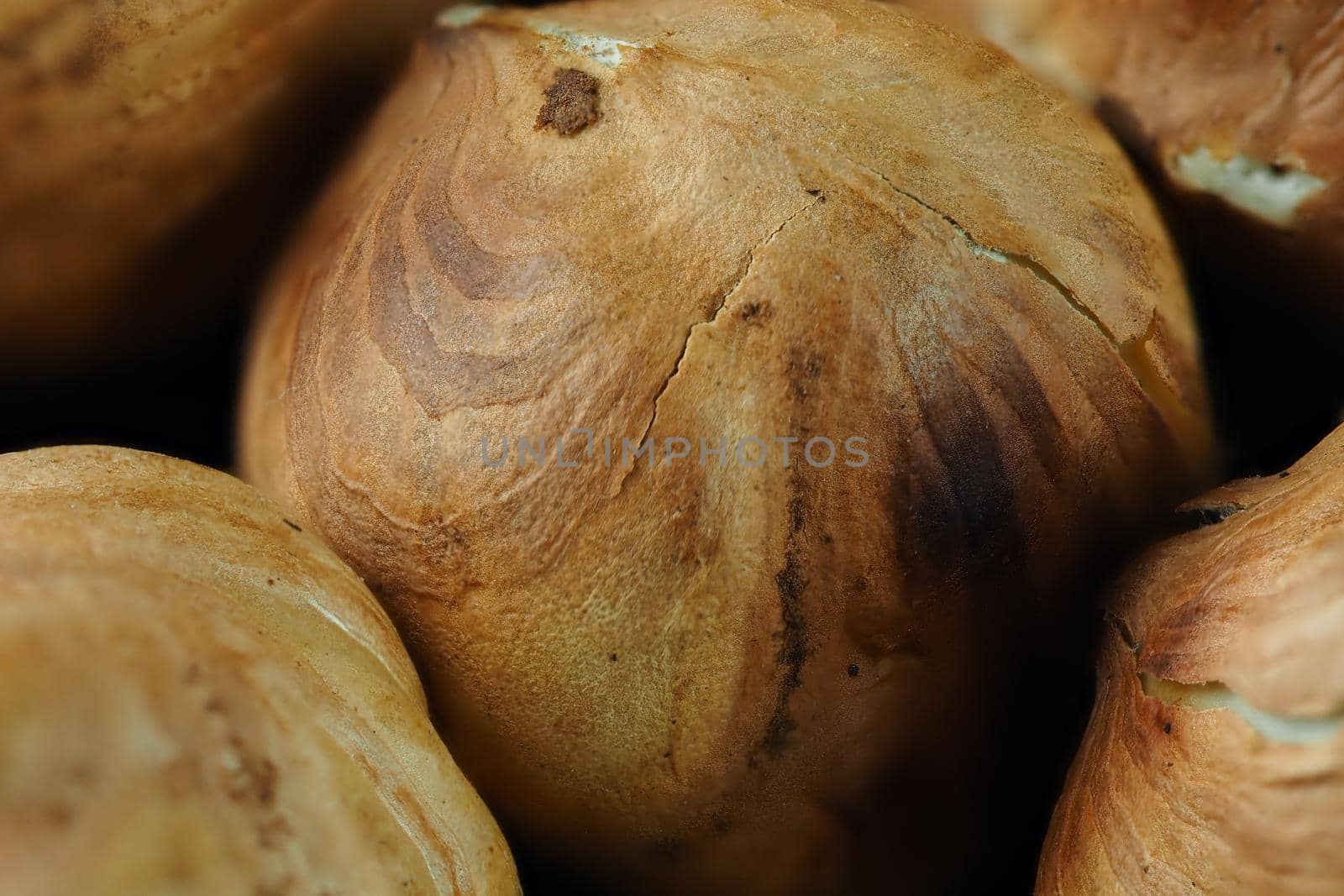 Hazelnut close-up on a black background. Macrophotography of the purified hazelnuts. by Olga26