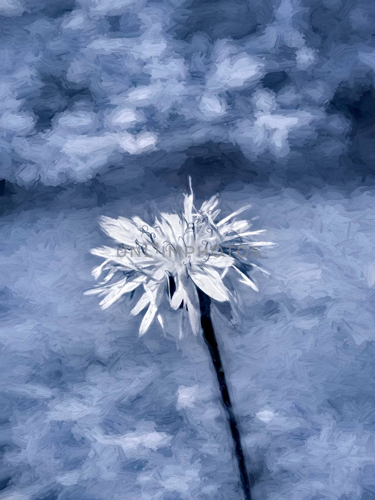 White flower at blue abstract background - digital paint