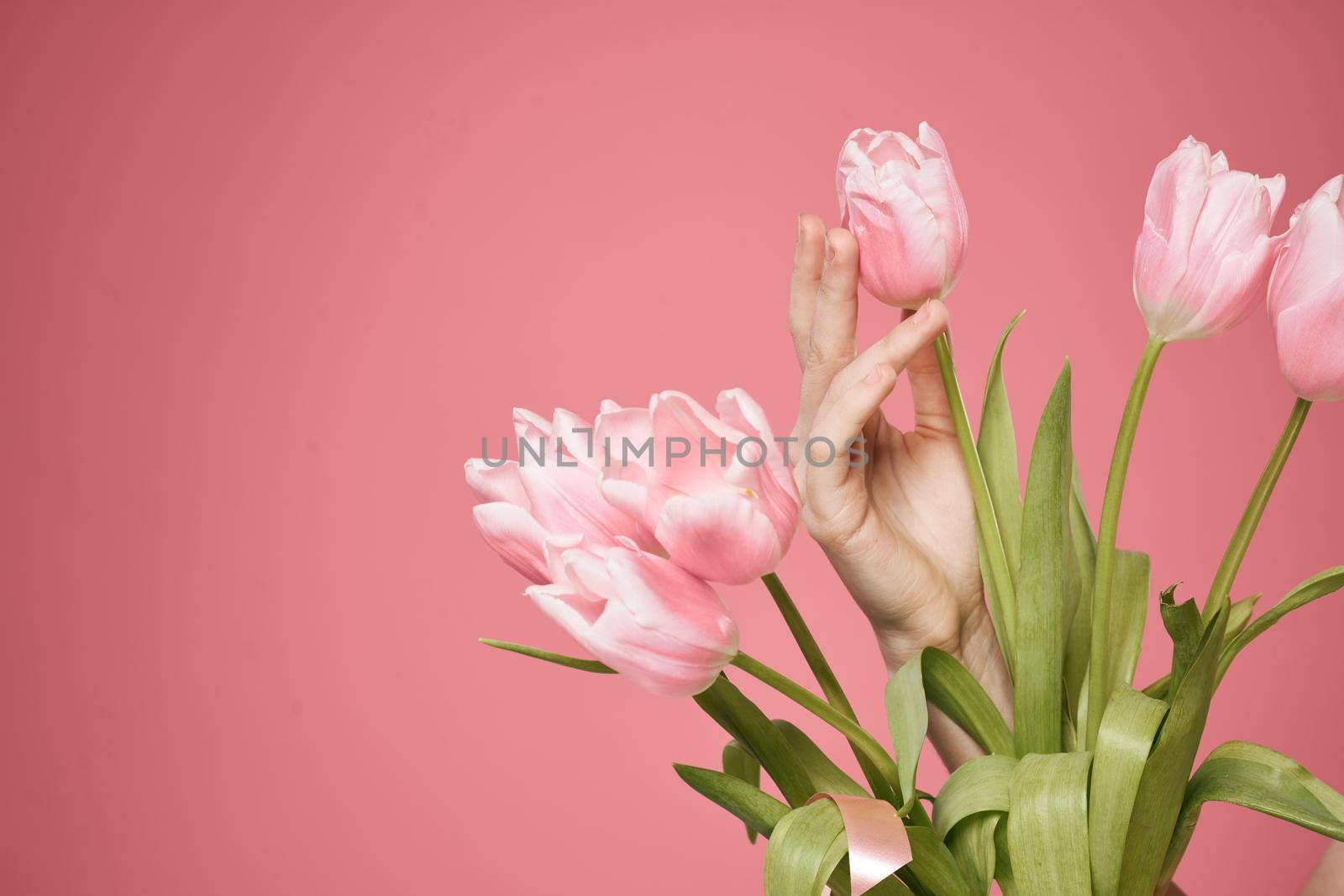 Bouquet of flowers pink background holiday gift by SHOTPRIME