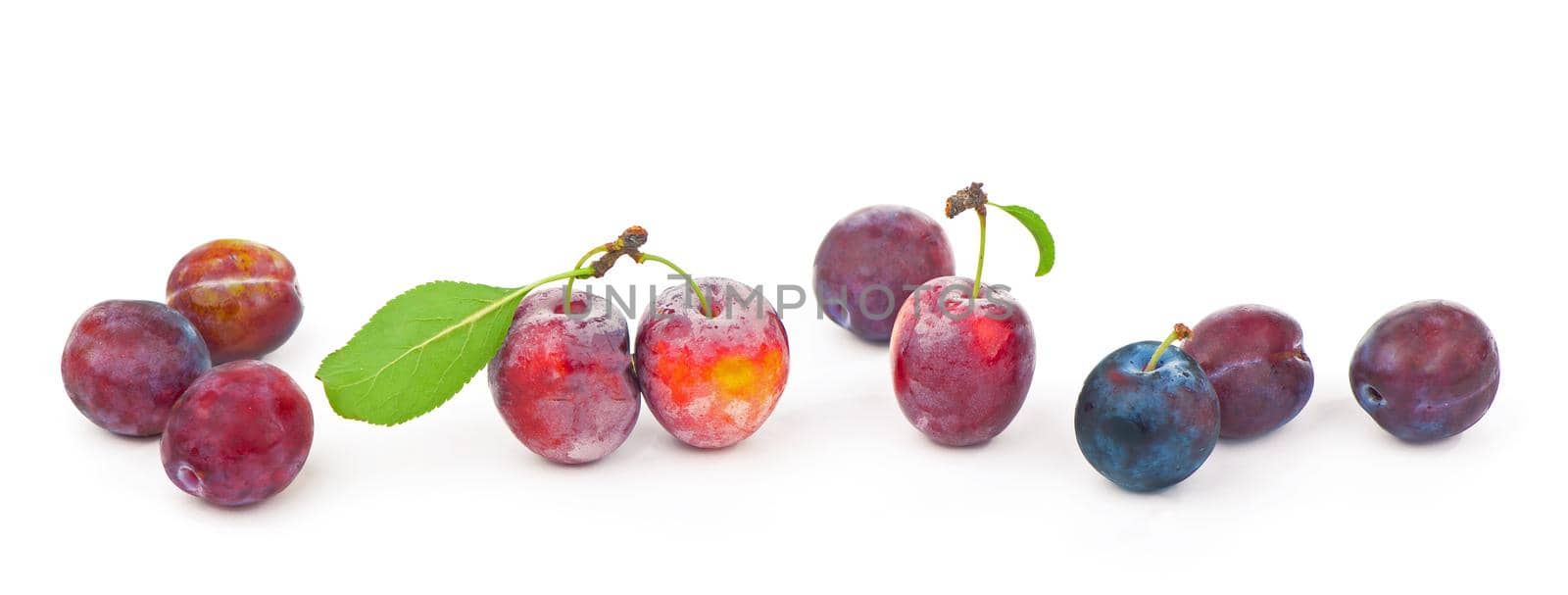 Ripe plums with leaves close up on white background.