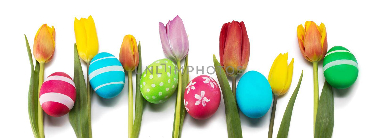 Hand-painted easter eggs with tulips isolated on white background in a row with copy space for text