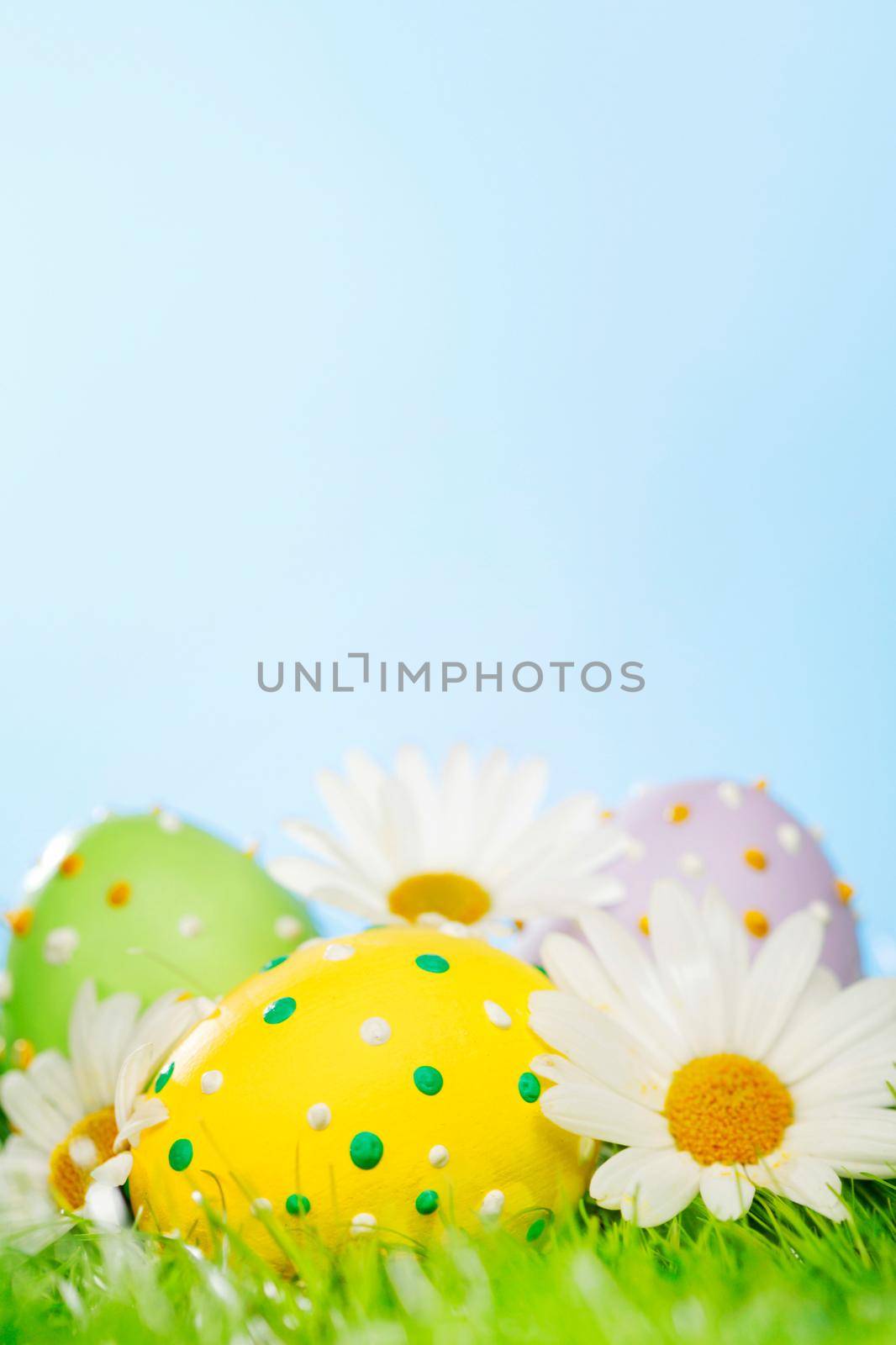 Colorful easter eggs in fresh spring green grass with flowers