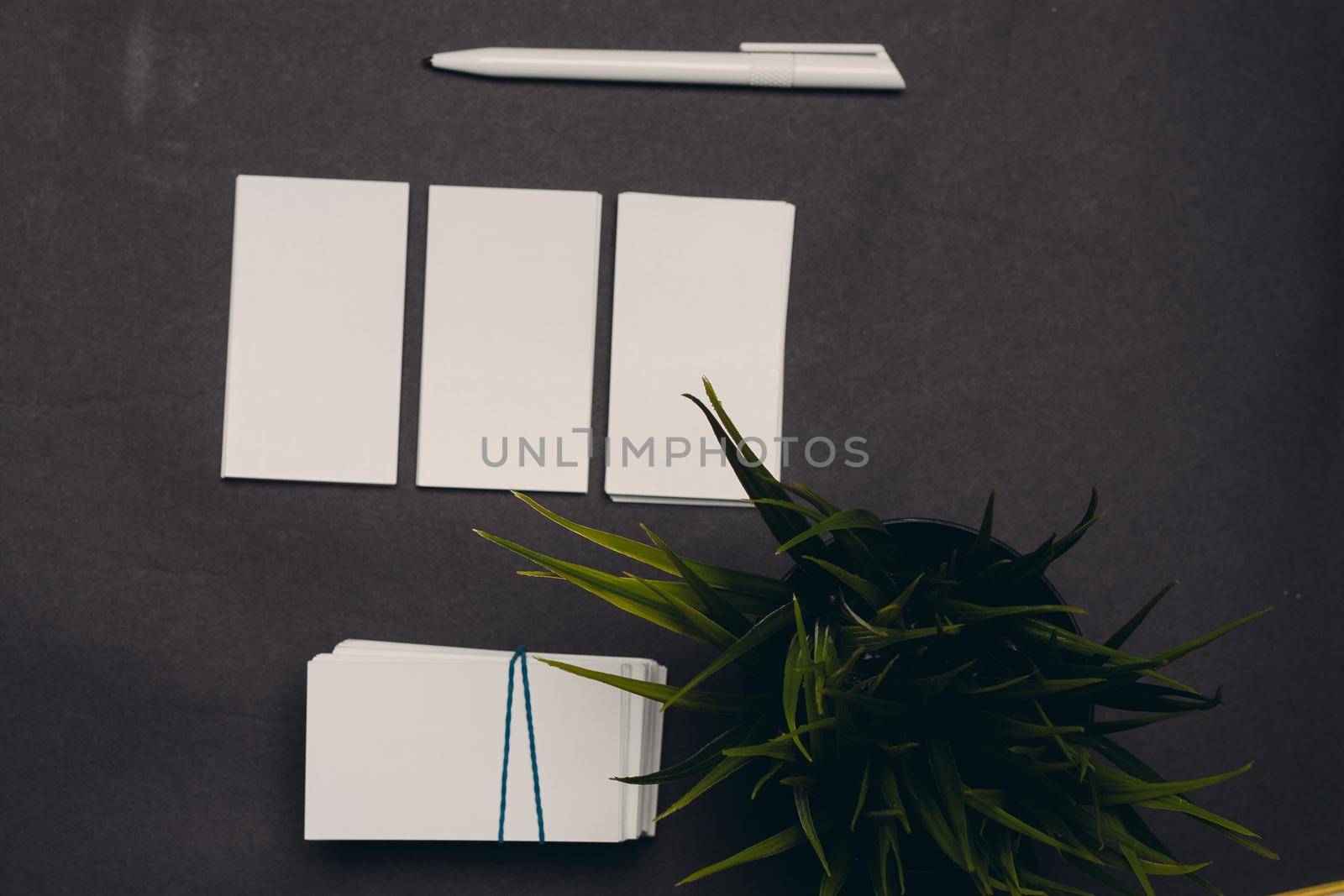 three business cards on a dark background ballpoint pen flower in a pot and a cup of coffee. High quality photo