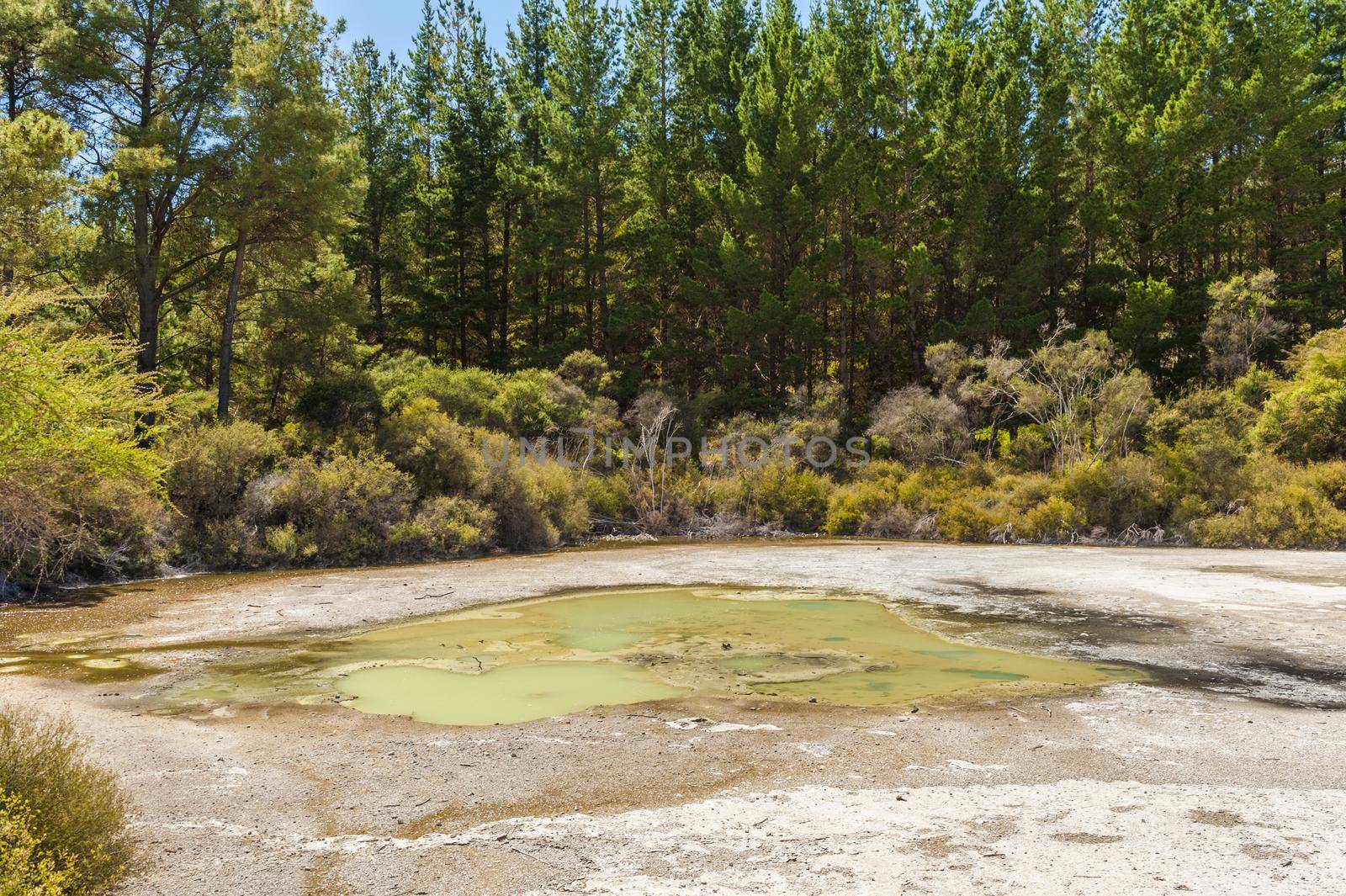 Beautiful turquoise lake called Papa Wera at Wai-O-Tapu geothermal area, New Zealand