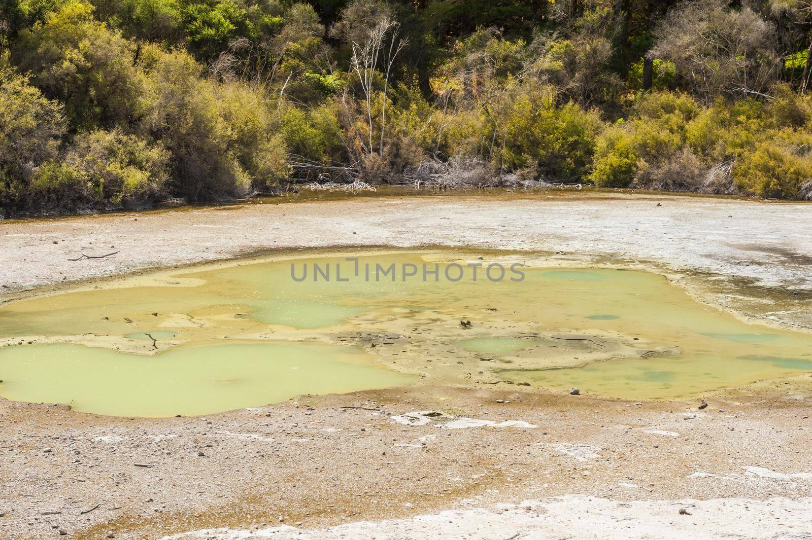 Turquoise Lake in Waiotapu thermal area in the New Zealand by fyletto
