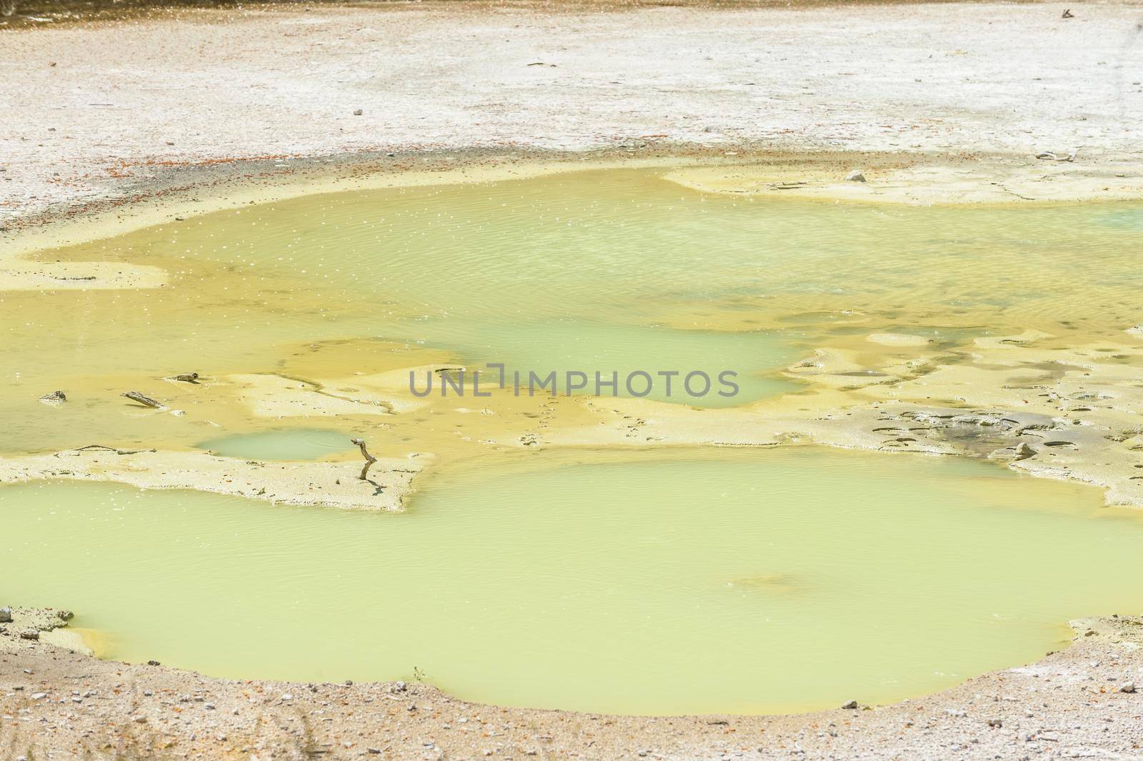 Turquoise Lake in Waiotapu thermal area in the New Zealand by fyletto