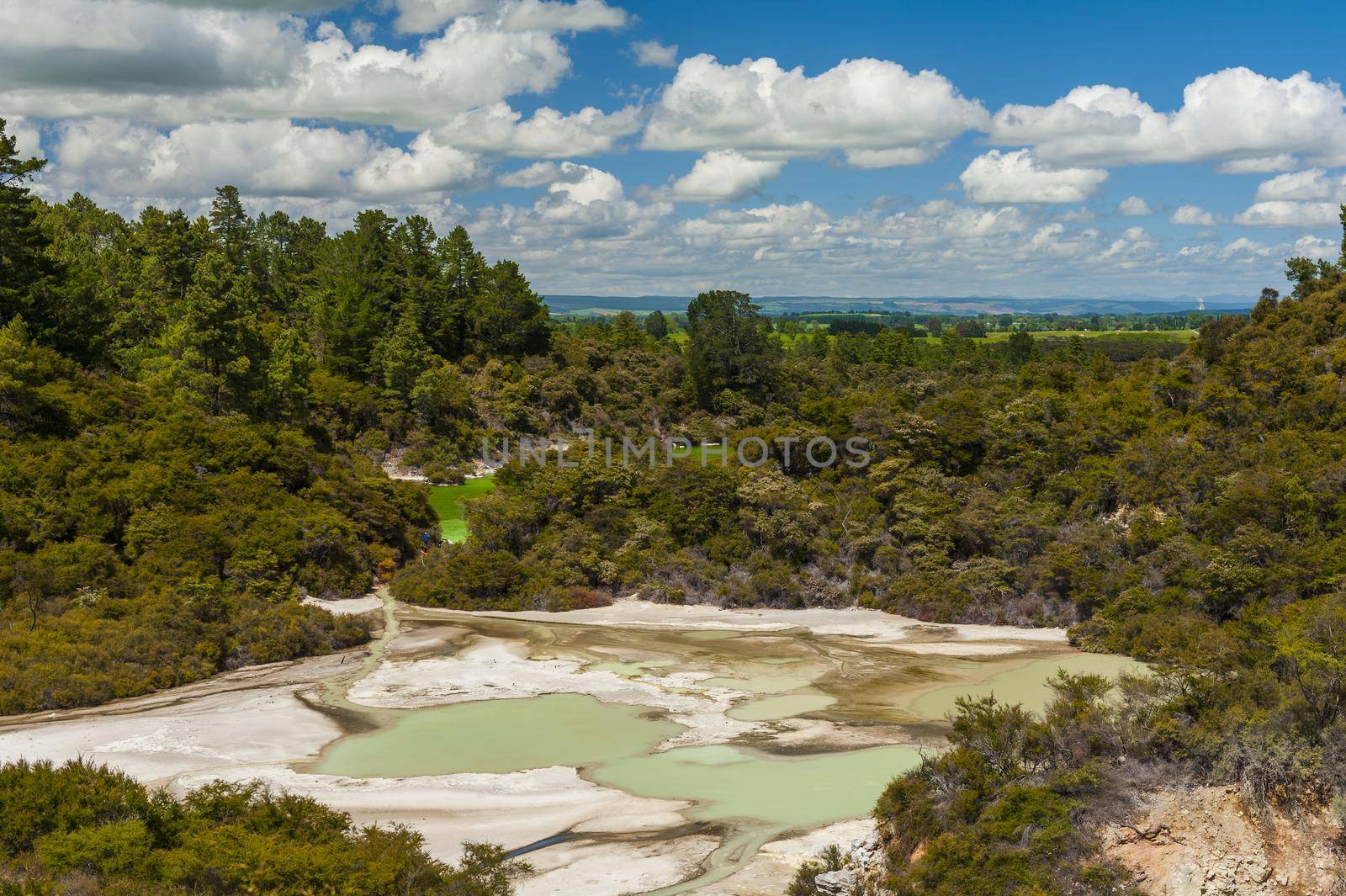 Turquoise Lake in Waiotapu thermal area in the New Zealand by fyletto