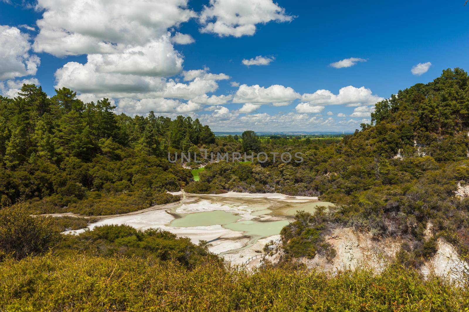 Turquoise Lake in Waiotapu thermal area in the New Zealand by fyletto