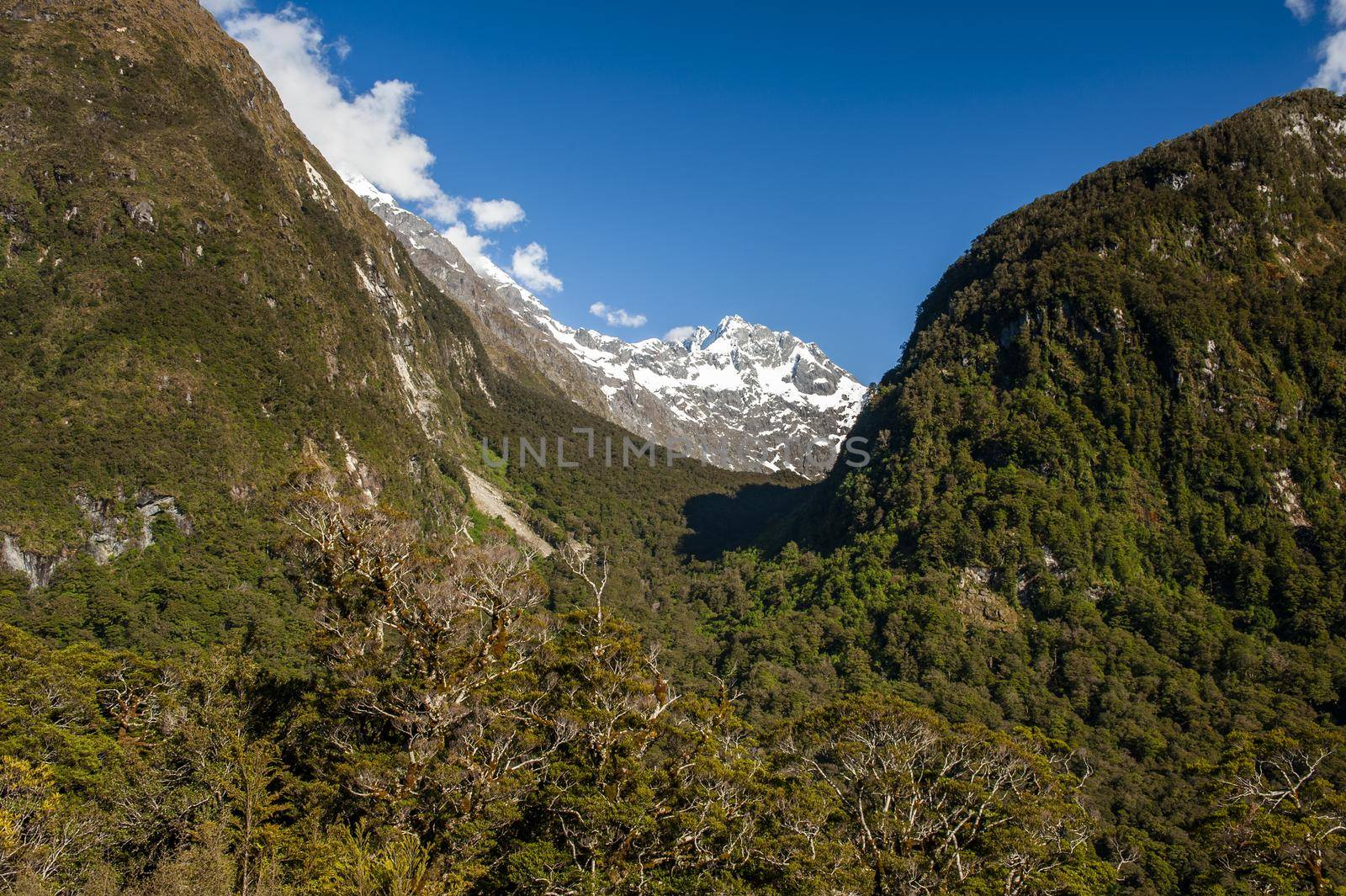 Gertrude Saddle with a snowy mountains, Fiordland national park, New Zealand South island