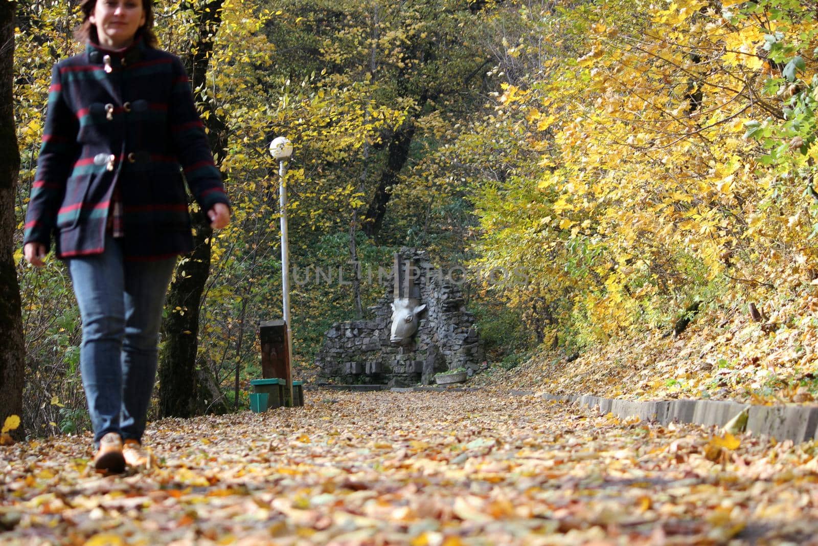 Golden autumn in the park. A girl walks alone in the park. by Olga26