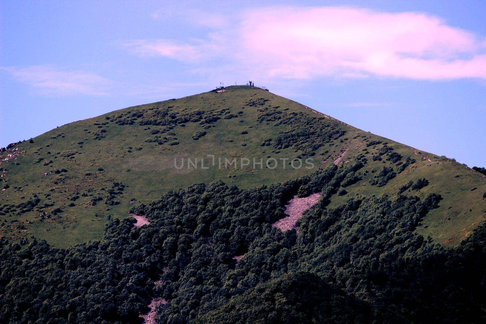 The top of the mountain with green trees and grass. by Olga26