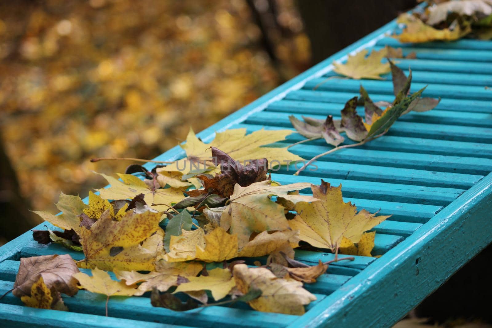 Fall. Golden autumn, bench in the park. by Olga26