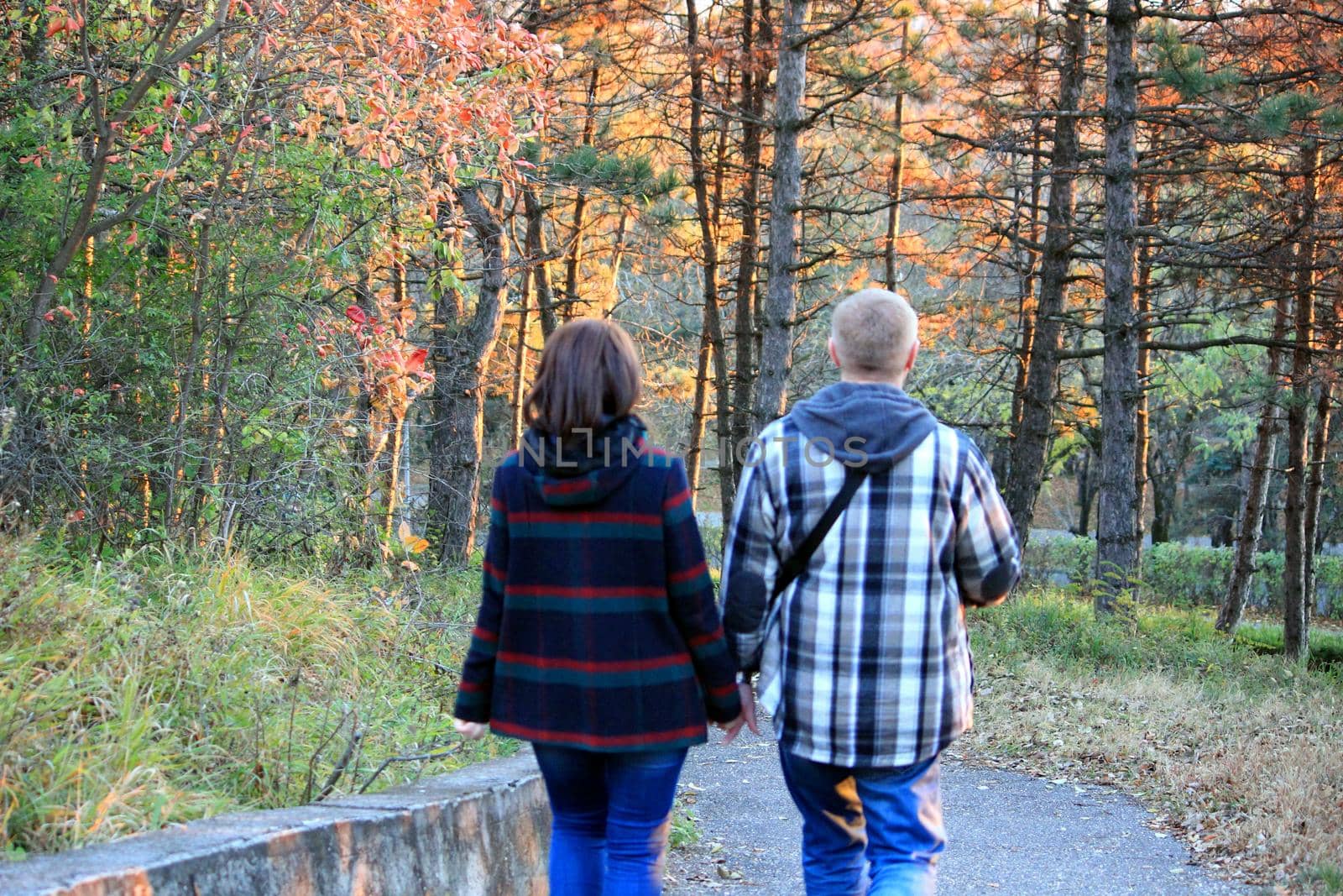 Golden autumn. Fall. People in the park. High quality photo