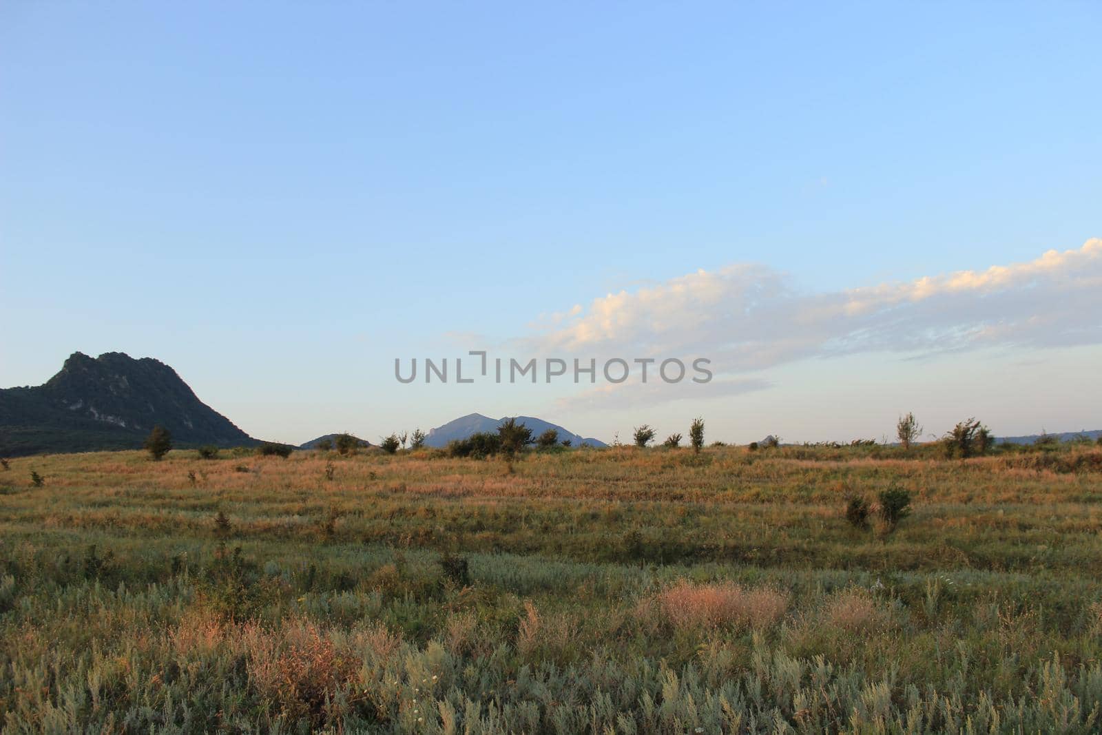 Summer natural landscape with mountains in the background.