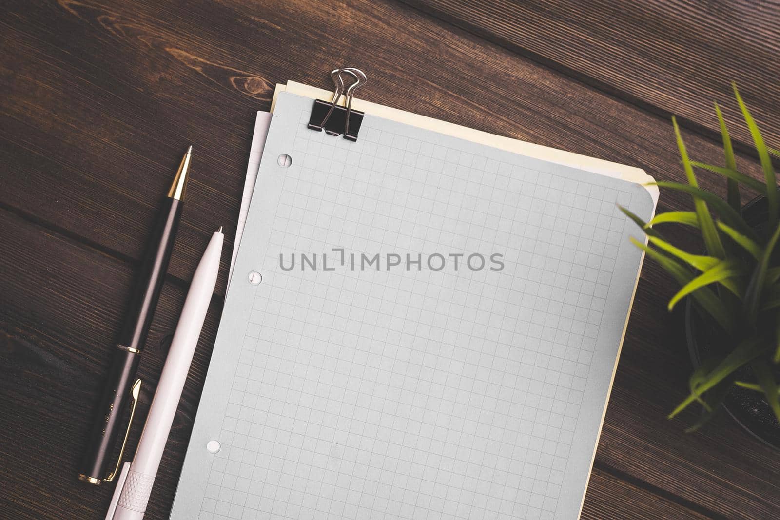 Sheets of paper for writing and a pencil pen clamp wooden table flower in a pot by SHOTPRIME