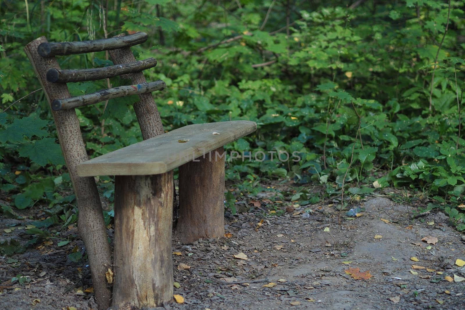 A wooden bench in the forest of stumps and branches. It's a beautiful forest.