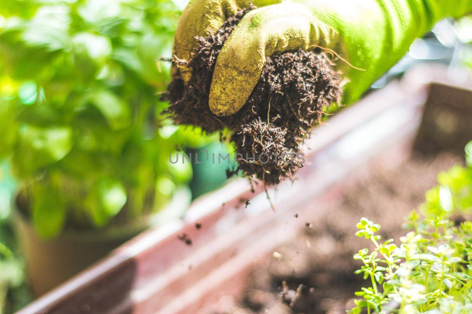 Closeup of fruitful soil for planting vegetables and herbs