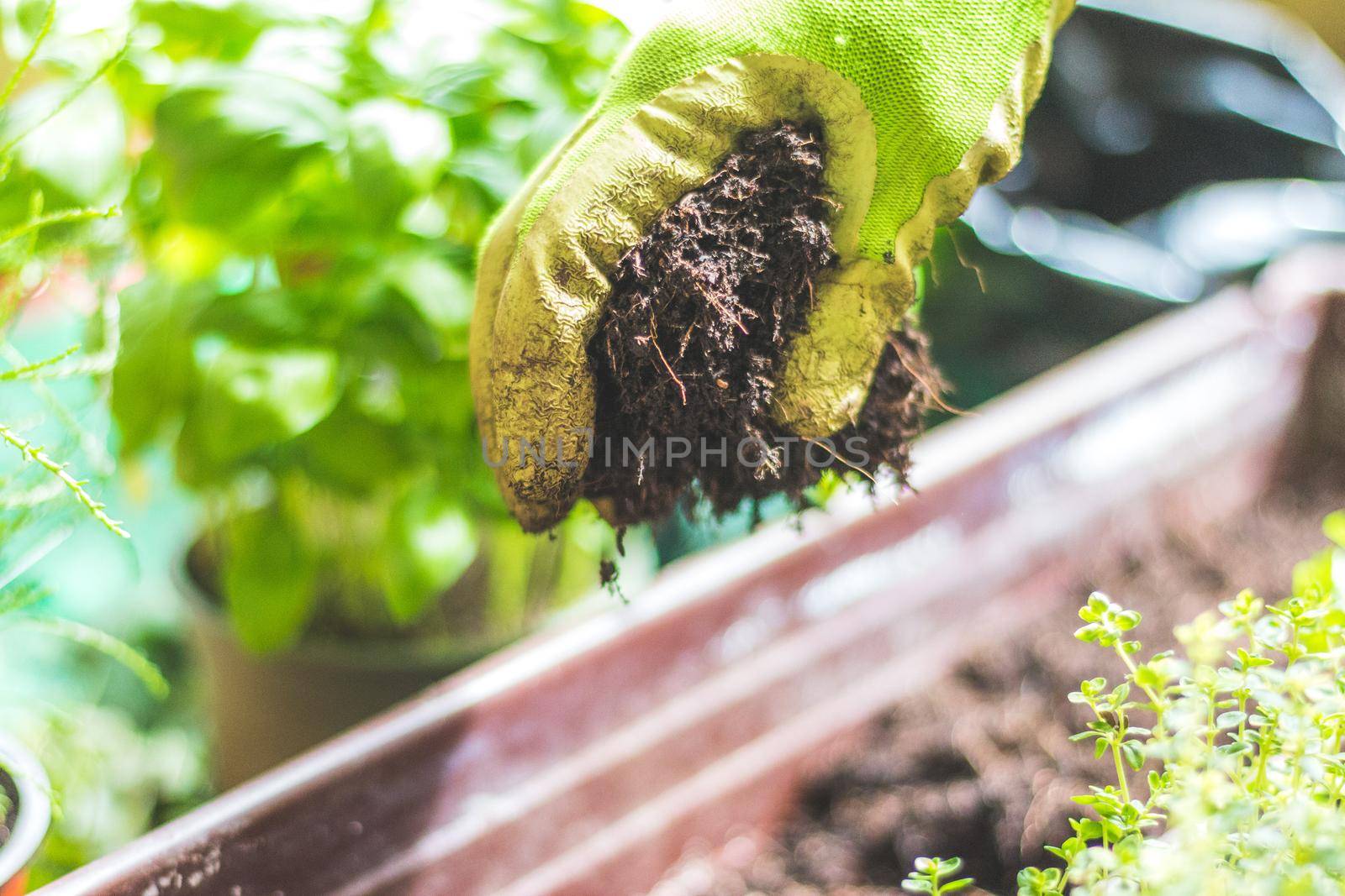 Closeup of fruitful soil for planting vegetables and herbs