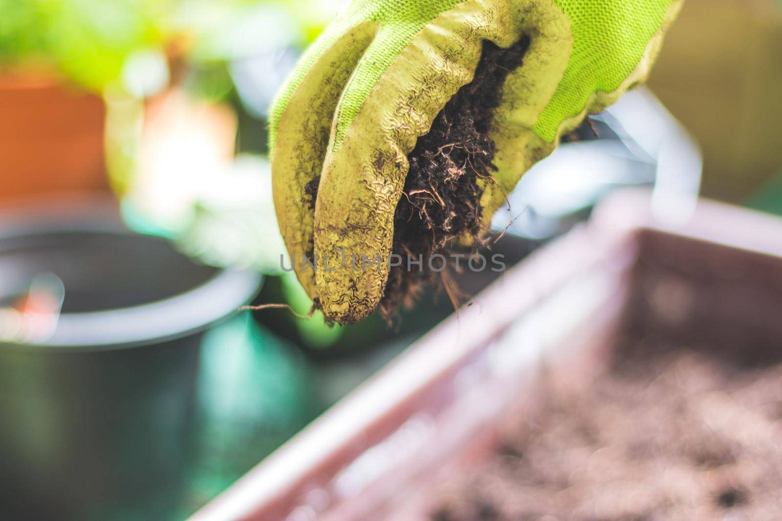 Closeup of fruitful soil for planting vegetables and herbs