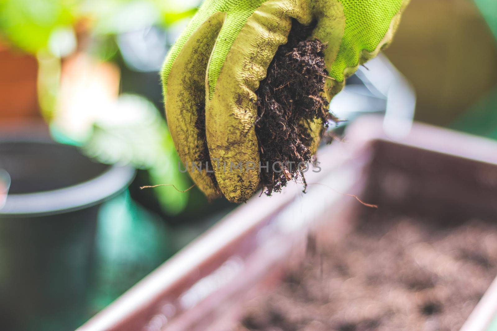 Closeup of fruitful soil for planting vegetables and herbs